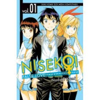 Image of Nisekoi False Love Vol. 1